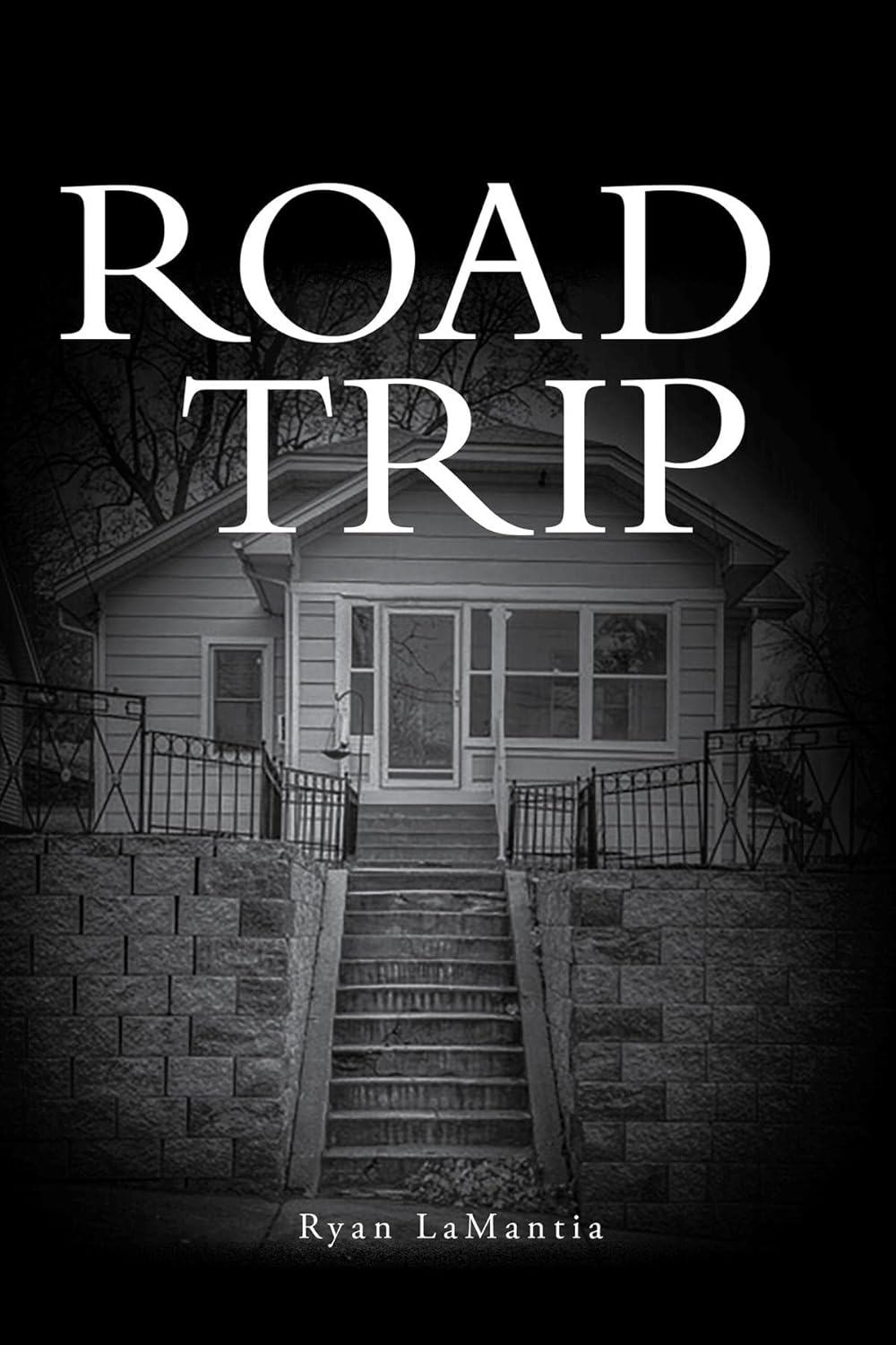 Road Trip Book Cover